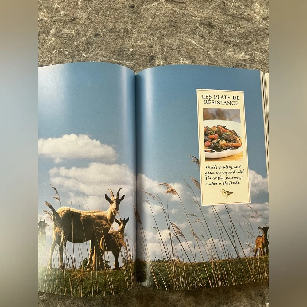 Savoring Provence, Cookbook from Williams Sonoma by Diane Holuigue